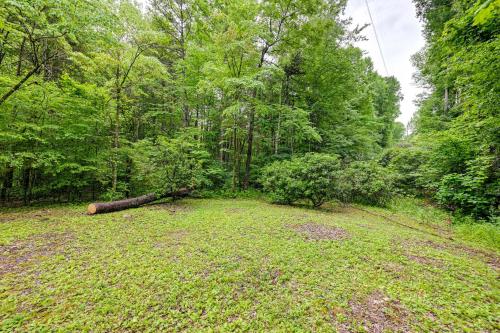 a large field with a log in the woods at Creekside Cabin in Franklin about 8 Mi to Downtown! in Franklin