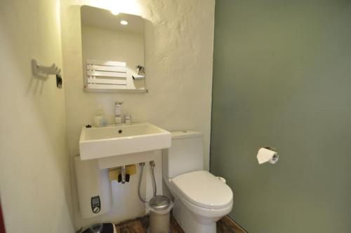 a bathroom with a white toilet and a sink at Romantisches Studio am Waldesrand in Schwarz