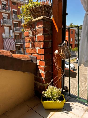 a door with a basket and some plants on it at Bon Bon del Corso con terrazzo e aria condizionata in Asti