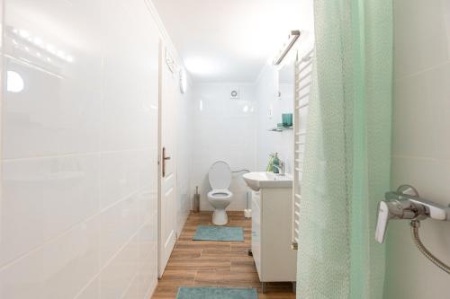 布達佩斯的住宿－Stylish 2-Bedroom Apartment in Central Budapest，一间带卫生间和水槽的浴室