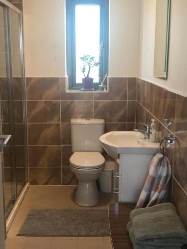 a bathroom with a toilet and a sink and a window at New studio near Lahinch, Doolin & Cliffs of Moher in Lahinch