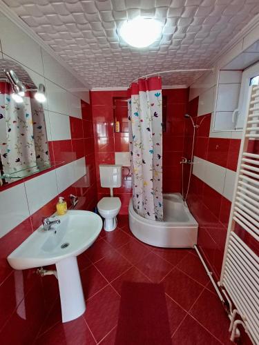 a red and white bathroom with a sink and a toilet at Casa Șallai in Sovata