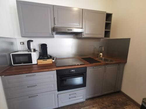 a kitchen with white cabinets and a sink and a microwave at Très bel appartement climatisé à deux pas de la cathédrale in Reims