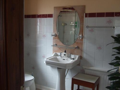 uma casa de banho com um lavatório e um espelho em Friary View Bed & Breakfast em Killarney