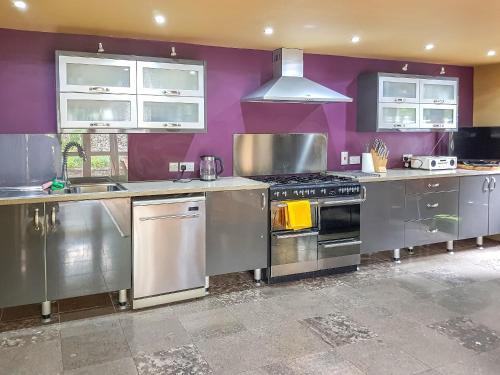 eine Küche mit Küchengeräten aus Edelstahl und lila Wänden in der Unterkunft Coach House in Ashford