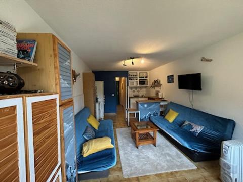 Televisyen dan/atau pusat hiburan di Cosy apart, ski snow surf, Foux d'Allos avec Vue