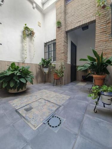 Apartamento en el Fontanal, Casa- Patio de vecinos