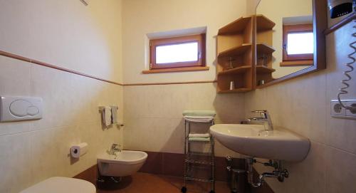 a bathroom with a toilet and a sink at Apartments Antersi Silvia in San Vigilio Di Marebbe