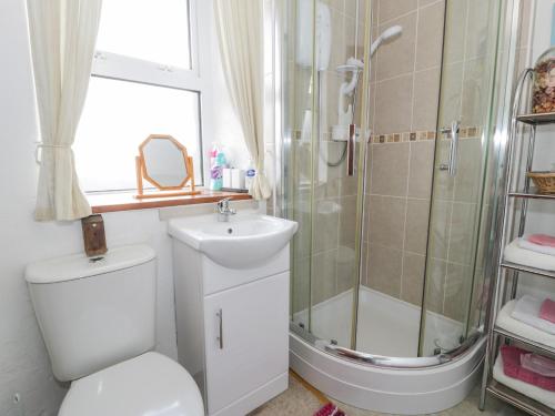 a bathroom with a toilet and a shower and a sink at Bodalaw in Trawsfynydd