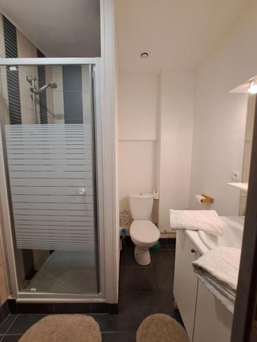 a bathroom with a toilet and a glass shower at Appart-Hôtel Résidence Maloc in Malaucène