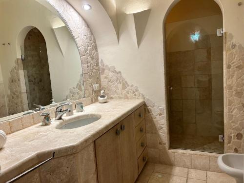 bagno con lavandino, specchio e doccia di Monti Mannu Art ad Abbiadori