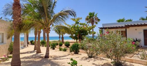 Fotografie z fotogalerie ubytování Vilas Praia de Chaves SEA VIEW sol y mar v destinaci Rabil