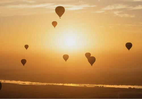 a group of hot air balloons flying in the sunset at Nile diana luxor in Luxor