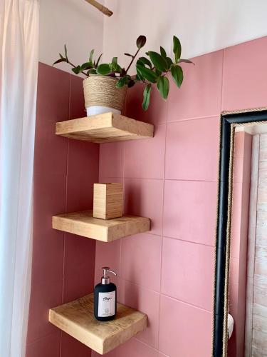 a bathroom with wooden shelves in a pink wall at Agriturismo La Terrazza su Farfa in Castelnuovo di Farfa