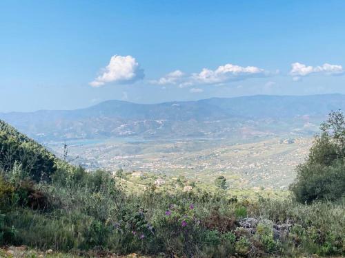 a view of a valley from a hill with flowers at Apartamento La Fuente Alcaucin in Alcaucín