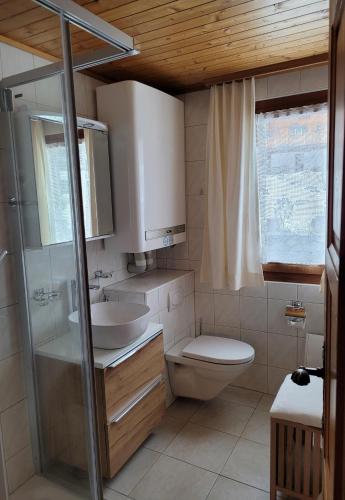 a bathroom with a toilet and a sink and a shower at Taubenhaus OG in Fiesch