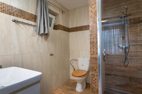 a bathroom with a toilet and a shower at VILA Stella in Bystrá