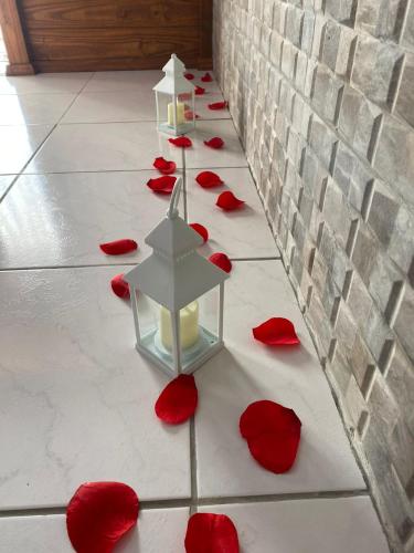 a group of red roses on a floor with candles at Cabana Amor Perfeito in Barracão