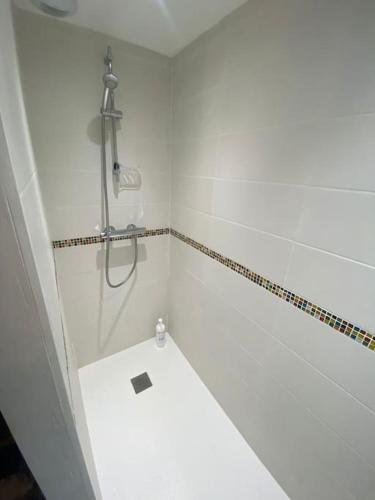 une salle de bain blanche avec douche et toilettes dans l'établissement La chouette détente, à Fougères