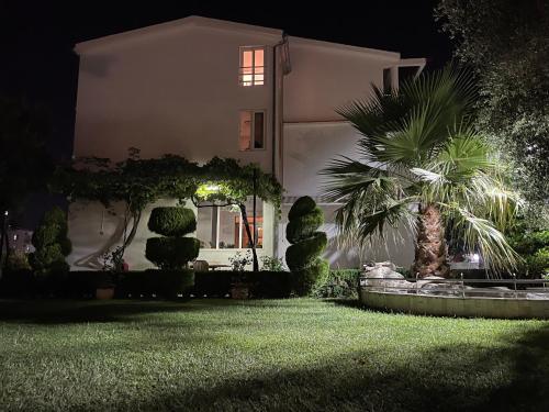una casa con una palmera en el patio por la noche en Apartaments Queen, en Ulcinj