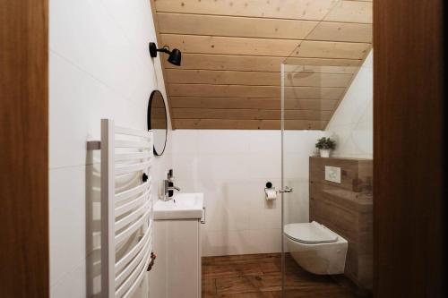 a small bathroom with a toilet and a sink at Domek pod Szarowym lasem in Wisła