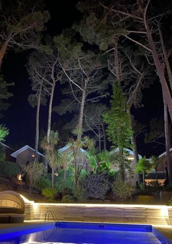 a swimming pool at night with trees in the background at Carilo Hills by bund in Carilo