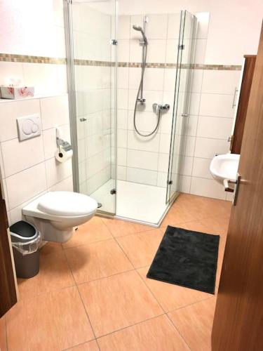 a bathroom with a shower and a toilet and a sink at Schöne Ferienwohnung direkt am Neckar in Deißlingen