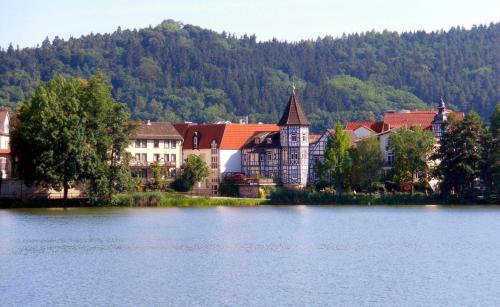 une ville sur la rive d'une masse d'eau dans l'établissement Ferienwohnung La Finesse, à Bad Salzungen