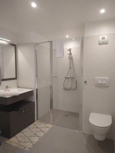 a bathroom with a shower and a toilet and a sink at CAZAM VERNON-GIVERNY in Vernon