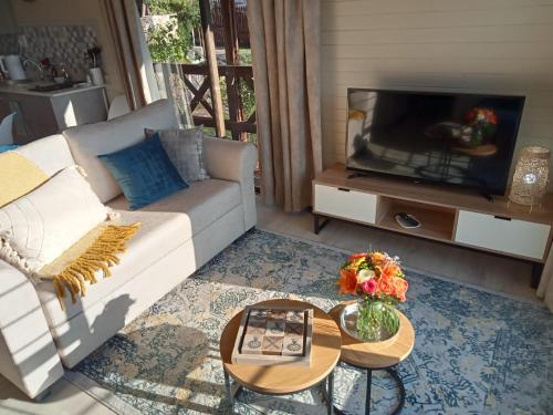 a living room with a couch and a tv at Cinnamon & Sage Country Cabins in Dullstroom
