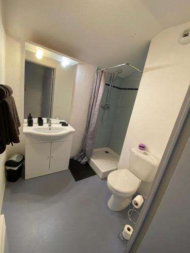 een badkamer met een wit toilet en een wastafel bij Les écrins in Lourdes