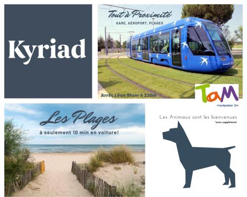 un collage de photos avec une photo d'un train et d'un chien dans l'établissement Kyriad Hotel Montpellier Centre Antigone, à Montpellier