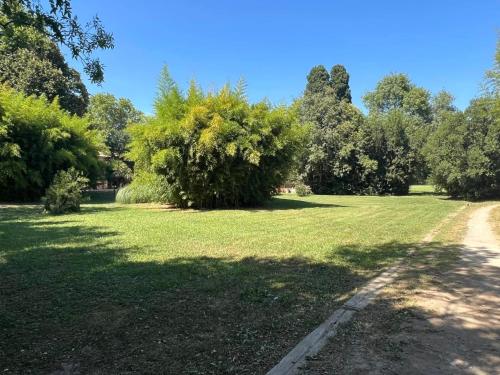 a large grass field with trees and a dirt road at La bambouseraie de sulauze in Miramas