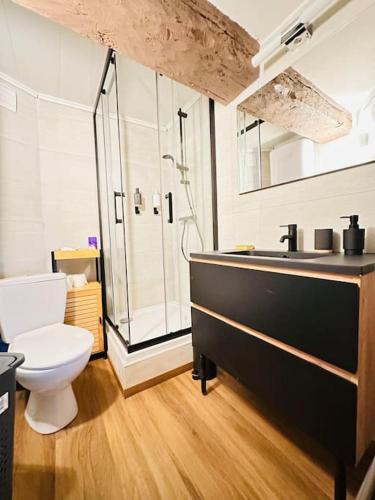 une salle de bain avec toilettes et douche en verre dans l'établissement Le Refuge, à Laon