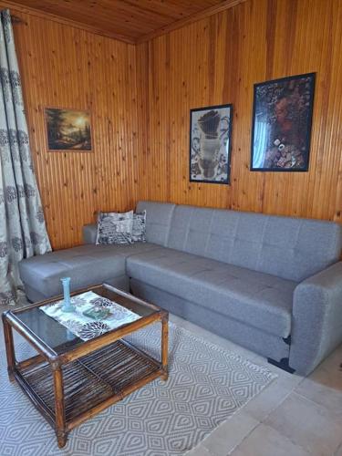 a living room with a couch and a coffee table at Μονοκατοικία Kathrin in Nea Kalikratia