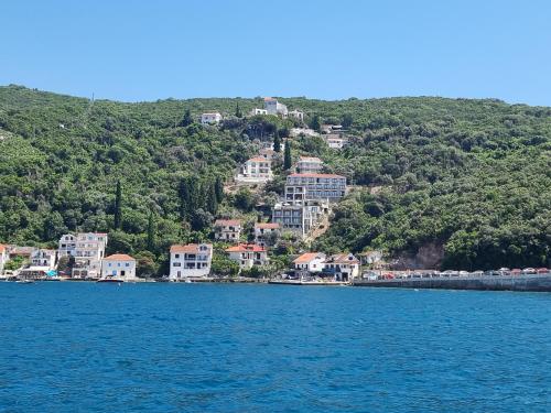 a town on a hill next to a body of water at Agape Rose Hotel in Tivat