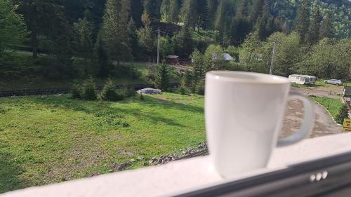 Příroda nedaleko penzionu