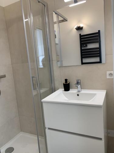 une salle de bain avec un lavabo et une douche dans l'établissement Maisonnette neuve en Provence, à Saint-Martin-de-Crau