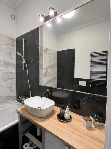 a bathroom with a sink and a shower and a tub at Ara Apartamenty in Toruń