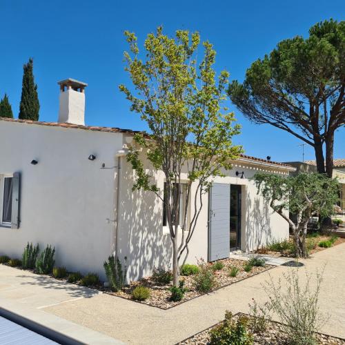 une maison blanche avec un arbre devant dans l'établissement Très joli mazet Piscine privée Beau jardin clôturé Entièrement privatisé 5' à pied du centre, à Saint-Rémy-de-Provence