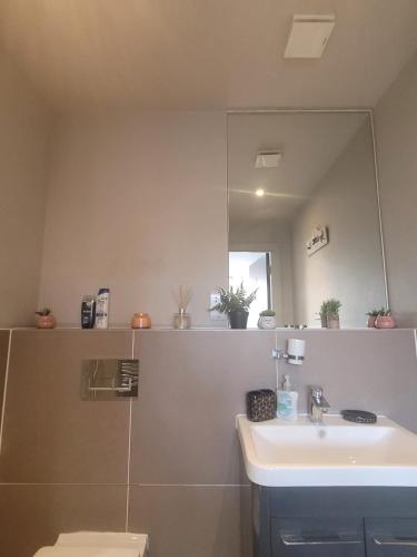 La salle de bains est pourvue d'un lavabo et d'un miroir. dans l'établissement Amazing London 1 BR Flat in Astral House AS18, à Norbury