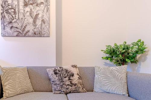 un sofá en una sala de estar con una planta en Le Tropical de Lamartine en Limoges