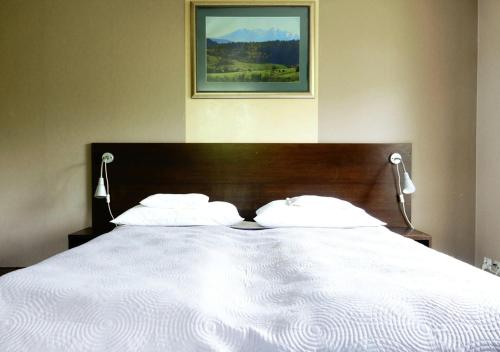 ティリチにあるVilla Bartekの大きな白いベッド(枕2つ付)