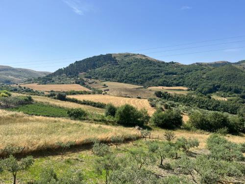 a view of a valley with hills and trees at Villetta con Oliveto CFG in Prizzi