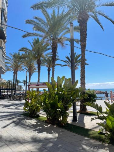 Almuden's green apartment, HIGH-SPEED FREE WIFI, 250m to Beach, The center of Torrevieja