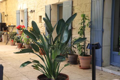 Le Mas des Cerisiers JACUZZI et SAUNA inclus pour tous les logements photo 65