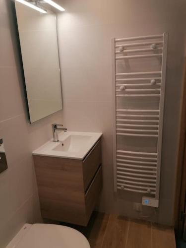 une salle de bain avec toilettes, lavabo et miroir dans l'établissement Maison de charme en centre ville, à Duras
