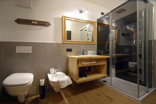 een badkamer met een toilet, een wastafel en een douche bij Legno VecchioPadolaDolomitirustic e modern in Padola