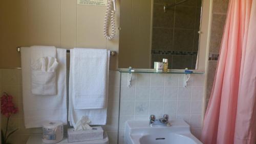 a bathroom with a sink and a toilet and a mirror at Oasis Motel in Antigonish