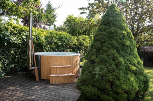 a hot tub next to a large pine tree at Piccolo Orso Bruno in Cavareno